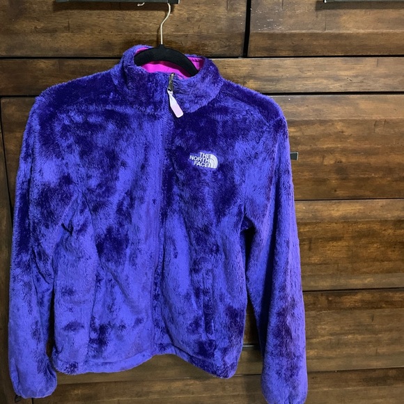 The North Face Jackets & Blazers - North face furry jacket